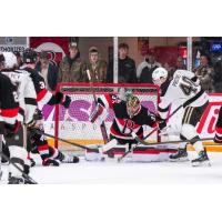 Belleville Senators goaltender Leevi Meriläinen