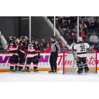 Belleville Senators celebrate a goal