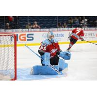 Goaltender Josh Boyko with the Macon Mayhem