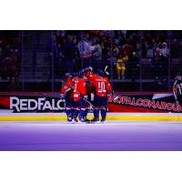 South Carolina Stingrays celebrate a goal