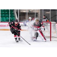 Belleville Senators centre Philippe Daoust and goaltender Leevi Meriläinen