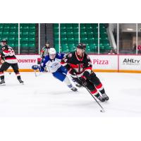Belleville Senators centre Stephen Halliday vs. the Syracuse Crunch