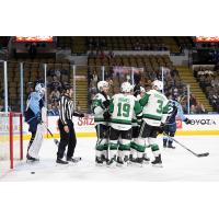 Texas Stars gather after a goal against the Milwaukee Admirals