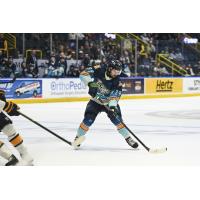 Forward Lukas Sillinger with the Florida Everblades