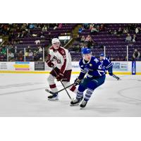 Peterborough Petes left wing Kieron Walton vs. the Brampton Steelheads