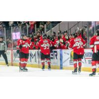 Adirondack Thunder exchange congratulations along the bench