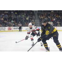 Belleville Senators defenseman Carter Yakemchuk (left) vs. the Providence Bruins