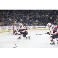 Belleville Senators defensemen Dennis Gilbert (left) and Scott Harrington vs. the Providence Bruins