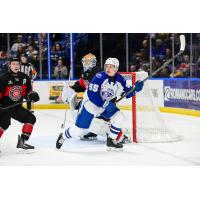 Syracuse Crunch center Gabriel Szturc vs. the Charlotte Checkers