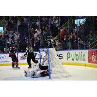 Florida Everblades' Cam Johnson on game night