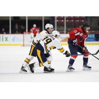 Atlanta Gladiators' Ben Hawerchuk and Carolina Stingrays' Josh Wilkins in action