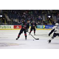 Florida Everblades forward Hudson Elynuik
