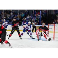 Syracuse Crunch center Dylan Duke vs. the Charlotte Checkers