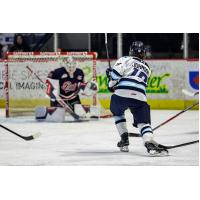 Penticton Vees right wing Diego Johnson unleashes a shot against the Regina Pats