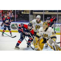 Saginaw Spirit center Carson Harmer vs. the Saginaw Sting