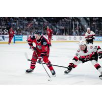 Hartford Wolfpack's Adam Sýkora and Belleville Senators' Olle Lycksell in action