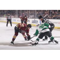 Chicago Wolves' Skyler Brind'Amour versus Texas Stars' Artem Shlaine