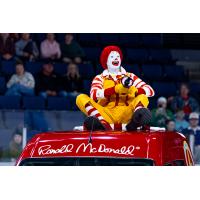 Ronald McDonald during O'Reilly McDonald's Night