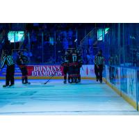 Florida Everblades on the ice