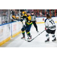 Worcester Railers' Michael Suda versus Rapid City Rush's Ryan Wagner