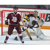 Peterborough Petes left wing Leon Kolarik vs. the Brantford Bulldogs