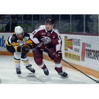 Peterborough Petes defenceman James Petrovski vs. the Brantford Bulldogs