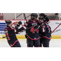 Adirondack Thunder celebrate a goal
