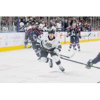 Greenville Swamp Rabbits defenseman Parker Berge