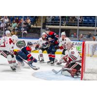 Saginaw Spirit battle the Guelph Storm