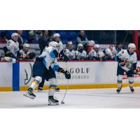 Toledo Walleye defenseman Riley McCourt