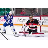 Belleville Senators goaltender Leevi Meriläinen