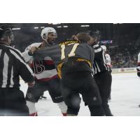 Belleville Senators fight with the Providence Bruins