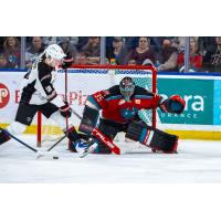 Kelowna Rockets goaltender Josh Banini