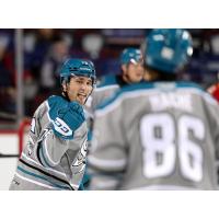 San Jose Barracuda in a good mood against the Calgary Wranglers
