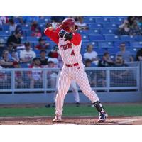 Ottawa Titans outfielder Nolan McCarthy