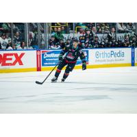 Florida Everblades forward Oliver Chau