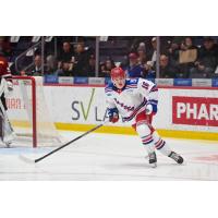 Kitchener Rangers left wing Dylan Edwards