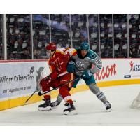 San Jose Barracuda forward Donavan Houle (right) vs. the Calgary Wranglers