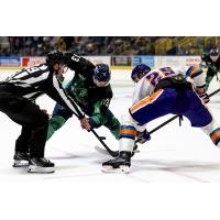 Florida Everblades forward Craig Needham (left) faces off with the Orlando Solar Bears