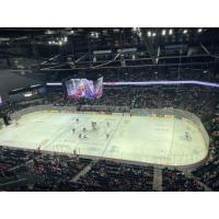 A big crowd watches the AHL's Grand Rapids Griffins