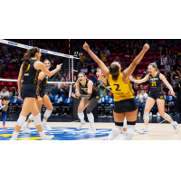 San Diego Mojo celebrate