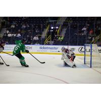 Florida Everblades forward Tarun Fizer takes a shot against the Orlando Solar Bears