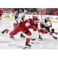 Allen Americans left wing Hank Crone