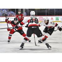 Belleville Senators defenceman Dennis Gilbert vs. the Utica Comets