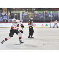 Belleville Senators defenceman Djibril Touré vs. the Utica Comets