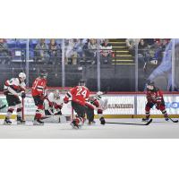 Belleville Senators goaltender Mads Søgaard vs. the Utica Comets