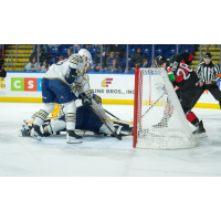 Springfield Thuderbirds defend against the Charlotte Checkers