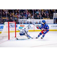 Kitchener Rangers centre Luca Romano scores against the Brampton Steelheads