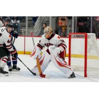 Rapid City Rush's goaltender Connor Murphy and Simon Mack on game night