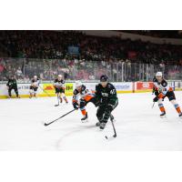 San Diego Gulls' Roland McKeown and Nikita Nesterenko and Texas Stars' Antonio Stranges on game night